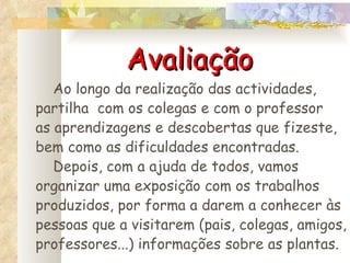 Avaliação Ao longo da realização das actividades, partilha  com os colegas e com o professor as aprendizagens e descobertas que fizeste, bem como as dificuldades encontradas. Depois, com a ajuda de todos, vamos organizar uma exposição com os trabalhos produzidos, por forma a darem a conhecer às pessoas que a visitarem (pais, colegas, amigos, professores...) informações sobre as plantas. 