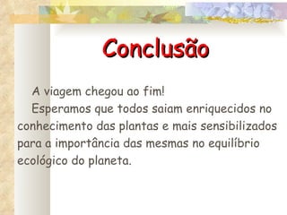 Conclusão A viagem chegou ao fim! Esperamos que todos saiam enriquecidos no conhecimento das plantas e mais sensibilizados para a importância das mesmas no equilíbrio ecológico do planeta. 