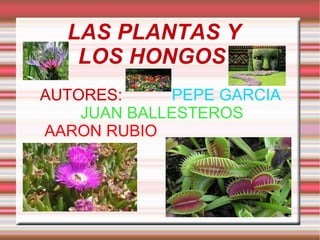 LAS PLANTAS Y  LOS HONGOS  AUTORES:  PEPE GARCIA JUAN BALLESTEROS AARON RUBIO 