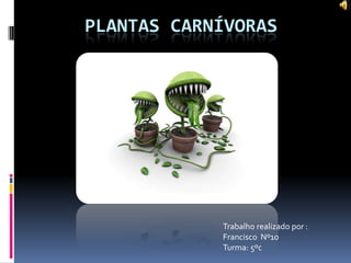 Plantas carnívoras  Trabalho realizado por : Francisco  Nº10  Turma: 5ºc 