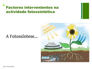 + Factores intervenientes na
     actividade fotossintética




     A Fotossíntese...




Prof. Vítor Batista
 