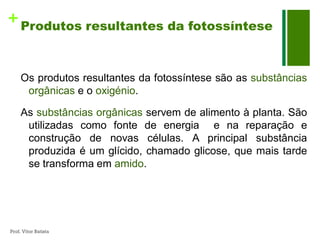 + Produtos resultantes da fotossíntese


     Os produtos resultantes da fotossíntese são as substâncias
      orgânicas e o oxigénio.

     As substâncias orgânicas servem de alimento à planta. São
      utilizadas como fonte de energia e na reparação e
      construção de novas células. A principal substância
      produzida é um glícido, chamado glicose, que mais tarde
      se transforma em amido.




Prof. Vítor Batista
 