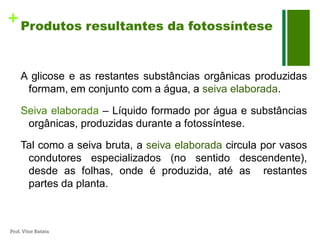 + Produtos resultantes da fotossíntese


     A glicose e as restantes substâncias orgânicas produzidas
      formam, em conjunto com a água, a seiva elaborada.

     Seiva elaborada – Líquido formado por água e substâncias
      orgânicas, produzidas durante a fotossíntese.

     Tal como a seiva bruta, a seiva elaborada circula por vasos
      condutores especializados (no sentido descendente),
      desde as folhas, onde é produzida, até as restantes
      partes da planta.



Prof. Vítor Batista
 