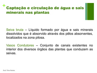 + Captação e circulação de água e sais
     minerais nas plantas



     Seiva bruta – Líquido formado por água e sais minerais
     dissolvidos que é absorvido através dos pêlos absorventes,
     localizados na zona pilosa.

     Vasos Condutores – Conjunto de canais existentes no
     interior dos diversos órgãos das plantas que conduzem as
     seivas.




Prof. Vítor Batista
 