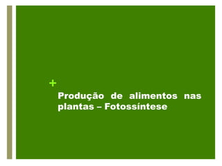 +
    Produção de alimentos nas
    plantas – Fotossíntese
 