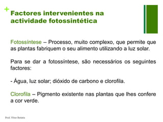 + Factores intervenientes na
     actividade fotossintética


     Fotossíntese – Processo, muito complexo, que permite que
     as plantas fabriquem o seu alimento utilizando a luz solar.

     Para se dar a fotossíntese, são necessários os seguintes
     factores:

     - Água, luz solar; dióxido de carbono e clorofila.

     Clorofila – Pigmento existente nas plantas que lhes confere
     a cor verde.

Prof. Vítor Batista
 