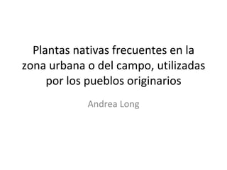 Plantas nativas frecuentes en la zona urbana o del campo, utilizadas por los pueblos originarios Andrea Long 