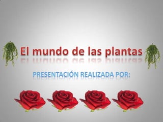 El mundo de las plantas Presentación realizada por:  