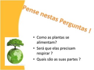 Pense nestas Perguntas !Como as plantas se alimentam?Será que elas precisam respirar ?Quais são as suas partes ?