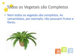 Todos os VegetaissãoCompletosNem todos os vegetais são completos. As samambaias, por exemplo, não possuem frutos e flores.