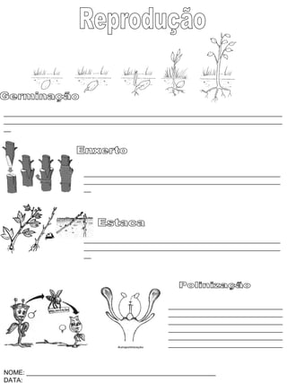 Reprodução Germinação Enxerto Estaca Polinização ______________________________________________________________________________________________________________________________________________________________ ________________________________________________________________________________________________________________ ________________________________________________________________________________________________________________ ________________________________________________________________________________________________________________________________________________________________________________________________ NOME: _____________________________________________________ DATA:______________ 