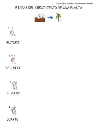 cachito@edu.xunta.es. pictogramas de ARASAAC

     ETAPAS DEL CRECIMIENTO DE UNA PLANTA




PRIMERO




SEGUNDO




TERCERO




CUARTO
 