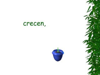 crecen,
 