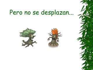 Pero no se desplazan...
 