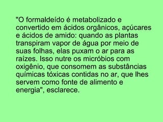 "O formaldeído é metabolizado e
convertido em ácidos orgânicos, açúcares
e ácidos de amido: quando as plantas
transpiram vapor de água por meio de
suas folhas, elas puxam o ar para as
raízes. Isso nutre os micróbios com
oxigênio, que consomem as substâncias
químicas tóxicas contidas no ar, que lhes
servem como fonte de alimento e
energia", esclarece.
 