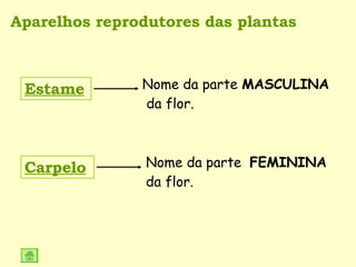 Aparelhos reprodutores das plantas Estame Nome da parte  MASCULINA  da flor. Carpelo Nome da parte  FEMININA  da flor. 