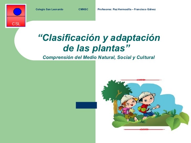 Clasificación y adaptación de las plantas” Comprensión del Medio Clasificación y adaptación de las plantas” Comprensión del Medio