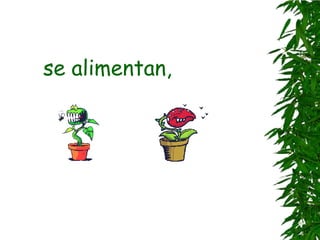 se alimentan,
 