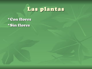 Las plantas
*Con flores
*Sin flores
 