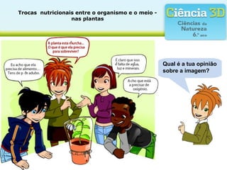 Trocas  nutricionais entre o organismo e o meio - 
nas plantas
Qual é a tua opinião
sobre a imagem?
 