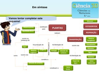 Vamos tentar completar este
esquema!
Em síntese
contribuem
para
ocorre na
presença de
realizam
como
Dióxido de
carbono
Seiva
elaborada
Matéria-prima
Alimento
ocorre nos
necessáriosparaa
Energia
constitui a
Vapor de
água
ocorre nos
Cloroplastos
há libertação de
Qualidade do ar
TRANSPIRAÇÃO
Estomas
há libertação de
RESPIRAÇÃO
PLANTAS
Oxigénio
há produção de
Matéria
inorgânica
Luz
Dióxido de carbono
Seiva
bruta
Minerais
Água
constituem a
Matéria
orgânica
FOTOSSÍNTESE
 