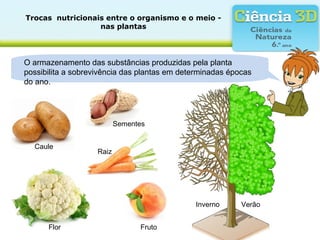 Trocas  nutricionais entre o organismo e o meio - 
nas plantas
O armazenamento das substâncias produzidas pela planta
possibilita a sobrevivência das plantas em determinadas épocas
do ano.
VerãoInverno
Caule
FrutoFlor
Raiz
Sementes
 