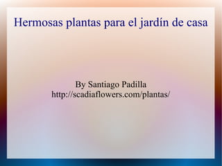 Hermosas plantas para el jardín de casa
By Santiago Padilla
http://scadiaflowers.com/plantas/
 