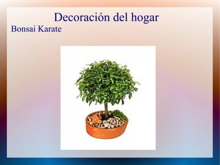 Decoración del hogar
Bonsai Karate
 