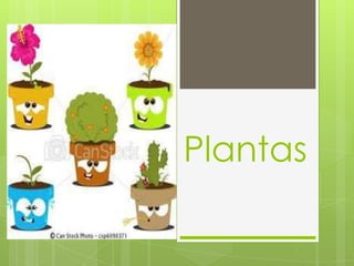 Plantas
 