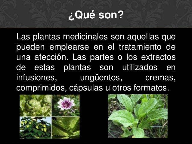 El alcoholismo el tratamiento por la homeopatía
