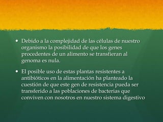  Debido a la complejidad de las células de nuestro
organismo la posibilidad de que los genes
procedentes de un alimento se transfieran al
genoma es nula.

 El posible uso de estas plantas resistentes a
antibióticos en la alimentación ha planteado la
cuestión de que este gen de resistencia pueda ser
transferido a las poblaciones de bacterias que
conviven con nosotros en nuestro sistema digestivo

 