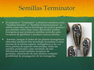 Semillas Terminator
 El sustantivo “Terminator” o términos similares como
“Semillas Suicidas” o “Semillas Exterminadoras” se
define como una nueva tecnología de control genético
que permite, entre otras cosas, desarrollar plantas
transgénicas que producen semillas normales pero
incapaces de germinar y producir nuevas plantas.



Además, aunque el polen de las plantas transgénicas
obtenidas mediante esta tecnología fecundase a otras
plantas de la misma especie, transgénicas o no, o a
otras plantas de especies relacionadas, todas las
semillas producidas como resultado de esta
hibridación serían también incapaces de
germinar, eliminando de esta manera cualquier
posibilidad de propagación de los transgenes.

 