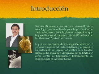Introducción
Sus descubrimientos condujeron al desarrollo de la
tecnología que es utilizada para la producción de
variedades comerciales de plantas transgénicas, que
hoy en día son cultivadas en más de 80 millones de
hectáreas en 17 países del mundo.
Logró, con su equipo de investigación, descifrar el
genoma completo del maíz. Estableció y organizó el
Departamento de Ingeniería Genética en la Unidad
Irapuato del Cinvestav, designado por la UNESCO
como Centro de Educación y Entrenamiento en
Biotecnología en América Latina.

 