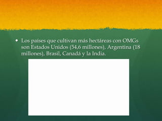  Los países que cultivan más hectáreas con OMGs
son Estados Unidos (54,6 millones), Argentina (18
millones), Brasil, Canadá y la India.

 