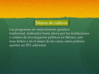 Mejora de cultivos
Los programas de mejoramiento genético
tradicional, realizados hasta ahora por las instituciones
y centros de investigación públicas en México, son
muy lentos y en el mejor de los casos, estos podrían
aportar un 30% adicional.

 