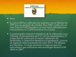  Soya
 La soya GM fue cultivada por primera vez en México en
1997 por un periodo de prueba. Para 2007, contó con un
área total de 5,000 hectáreas (el área total utilizada para
este producto es 73,000 hectáreas en el país).
 Los principales impactos benéficos de la utilización soya
GM son: a) incrementos de 9.1% en los rendimientos; b)
reducción de costos por la menor utilización de
herbicidas; y c)mayores beneficios al productor, a través
de ingresos netos promedio de entre 153 y 174 dólares
por hectárea. A escala nacional, el ingreso para los
agricultores que utilizaron esta tecnología alcanzó 0.84
mdd en 2007.

 