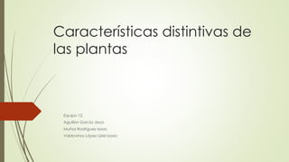 Características distintivas de
las plantas
Equipo 12:
Aguillón García Jesús
Muñoz Rodríguez Isaac
Valdovinos López Uziel Isaac
 