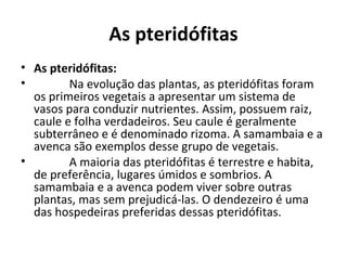 As pteridófitas
• As pteridófitas:
• Na evolução das plantas, as pteridófitas foram
os primeiros vegetais a apresentar um sistema de
vasos para conduzir nutrientes. Assim, possuem raiz,
caule e folha verdadeiros. Seu caule é geralmente
subterrâneo e é denominado rizoma. A samambaia e a
avenca são exemplos desse grupo de vegetais.
• A maioria das pteridófitas é terrestre e habita,
de preferência, lugares úmidos e sombrios. A
samambaia e a avenca podem viver sobre outras
plantas, mas sem prejudicá-las. O dendezeiro é uma
das hospedeiras preferidas dessas pteridófitas.
 