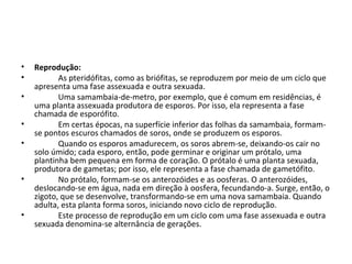 • Reprodução:
• As pteridófitas, como as briófitas, se reproduzem por meio de um ciclo que
apresenta uma fase assexuada e outra sexuada.
• Uma samambaia-de-metro, por exemplo, que é comum em residências, é
uma planta assexuada produtora de esporos. Por isso, ela representa a fase
chamada de esporófito.
• Em certas épocas, na superfície inferior das folhas da samambaia, formam-
se pontos escuros chamados de soros, onde se produzem os esporos.
• Quando os esporos amadurecem, os soros abrem-se, deixando-os cair no
solo úmido; cada esporo, então, pode germinar e originar um prótalo, uma
plantinha bem pequena em forma de coração. O prótalo é uma planta sexuada,
produtora de gametas; por isso, ele representa a fase chamada de gametófito.
• No prótalo, formam-se os anterozóides e as oosferas. O anterozóides,
deslocando-se em água, nada em direção à oosfera, fecundando-a. Surge, então, o
zigoto, que se desenvolve, transformando-se em uma nova samambaia. Quando
adulta, esta planta forma soros, iniciando novo ciclo de reprodução.
• Este processo de reprodução em um ciclo com uma fase assexuada e outra
sexuada denomina-se alternância de gerações.
 