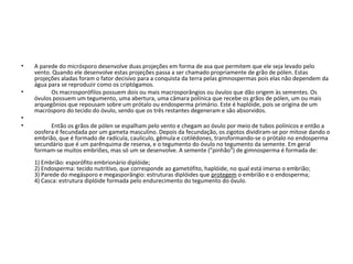 • A parede do micrósporo desenvolve duas projeções em forma de asa que permitem que ele seja levado pelo
vento. Quando ele desenvolve estas projeções passa a ser chamado propriamente de grão de pólen. Estas
projeções aladas foram o fator decisivo para a conquista da terra pelas gimnospermas pois elas não dependem da
água para se reproduzir como os criptógamos.
• Os macrosporófilos possuem dois ou mais macrosporângios ou óvulos que dão origem às sementes. Os
óvulos possuem um tegumento, uma abertura, uma câmara polínica que recebe os grãos de pólen, um ou mais
arquegônios que repousam sobre um prótalo ou endosperma primário. Este é haplóide, pois se origina de um
macrósporo do tecido do óvulo, sendo que os três restantes degeneram e são absorvidos.
•
• Então os grãos de pólen se espalham pelo vento e chegam ao óvulo por meio de tubos polínicos e então a
oosfera é fecundada por um gameta masculino. Depois da fecundação, os zigotos dividiram-se por mitose dando o
embrião, que é formado de radícula, caulículo, gêmula e cotilédones, transformando-se o prótalo no endosperma
secundário que é um parênquima de reserva, e o tegumento do óvulo no tegumento da semente. Em geral
formam-se muitos embriões, mas só um se desenvolve. A semente ("pinhão") de gimnosperma é formada de:
1) Embrião: esporófito embrionário diplóide;
2) Endosperma: tecido nutritivo, que corresponde ao gametófito, haplóide, no qual está imerso o embrião;
3) Parede do megásporo e megasporângio: estruturas diplóides que protegem o embrião e o endosperma;
4) Casca: estrutura diplóide formada pelo endurecimento do tegumento do óvulo.
 