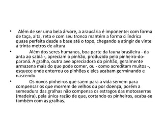 • Além de ser uma bela árvore, a araucária é imponente: com forma
de taça, alta, reta e com seu tronco mantém a forma cilíndrica
quase perfeita desde a base até o topo, chegando a atingir de vinte
a trinta metros de altura.
• Além dos seres humanos, boa parte da fauna brasileira - da
anta ao sabiá -, apreciam o pinhão, produzido pelo pinheiro-do-
paraná. A gralha, outra ave apreciadora do pinhão, geralmente
armazena mais do que pode comer, ou - como acreditam muitos -,
esquece onde enterrou os pinhões e eles acabam germinando e
nascendo.
• Os novos pinheiros que saem para a vida servem para
compensar os que morrem de velhos ou por doença, porém a
semeadura das gralhas não compensa os estragos das motosserras
(madeira), pela única razão de que, cortando os pinheiros, acaba-se
também com as gralhas.
 
