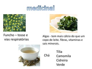 Funcho – tosse e
vias respiratórias
Algas - tem mais cálcio do que um
copo de leite. fibras, vitaminas e
sais minerais.
Chá
Tília
Camomila
Cidreira
Verde
 