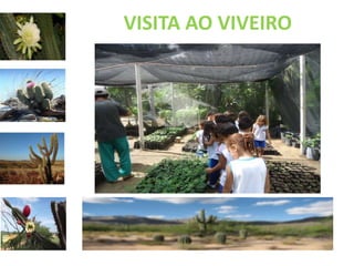 VISITA AO VIVEIRO 
 