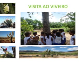 VISITA AO VIVEIRO 
 