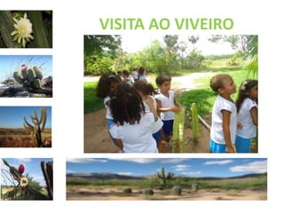 VISITA AO VIVEIRO 
 