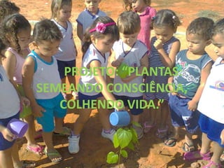 PROJETO: “PLANTAS: 
SEMEANDO CONSCIÊNCIA, 
COLHENDO VIDA.” 
 