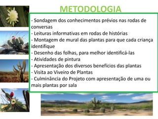 METODOLOGIA 
- Sondagem dos conhecimentos prévios nas rodas de 
conversas 
- Leituras informativas em rodas de histórias 
- Montagem de mural das plantas para que cada criança 
identifique 
- Desenho das folhas, para melhor identificá-las 
- Atividades de pintura 
- Apresentação dos diversos benefícios das plantas 
- Visita ao Viveiro de Plantas 
- Culminância do Projeto com apresentação de uma ou 
mais plantas por sala 
 