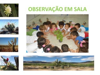 OBSERVAÇÃO EM SALA 
 