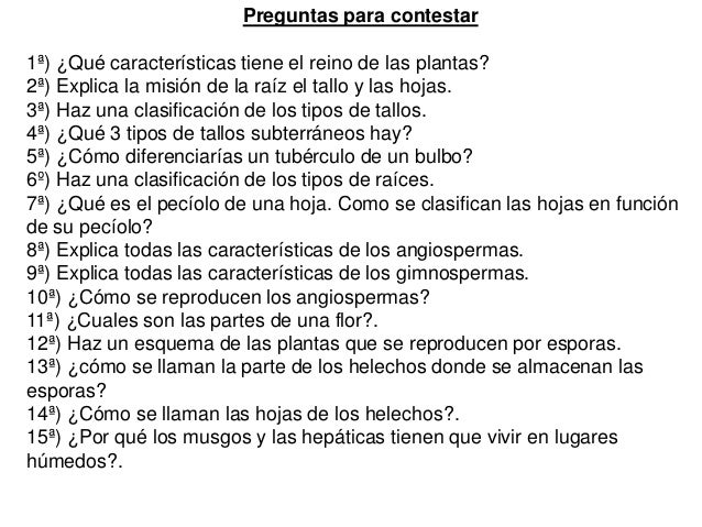 Plantas