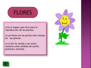 FLORES
Es el órgano que sirve para la
reproducción de las plantas.
Las flores son las partes más vistosas
de las plantas.
La flor ha venido a ser entre
nosotros como símbolo de cariño,
gratitud y amistad.
 